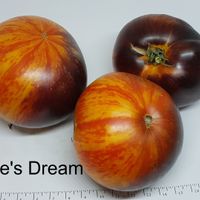 Alice's Dream